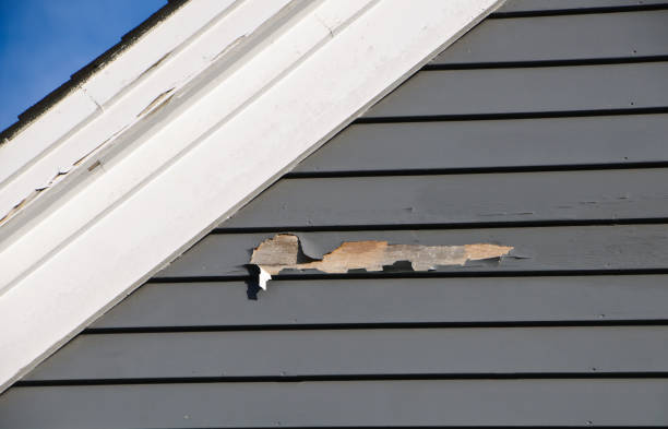 Best Vinyl Siding Installation  in Belfast, ME